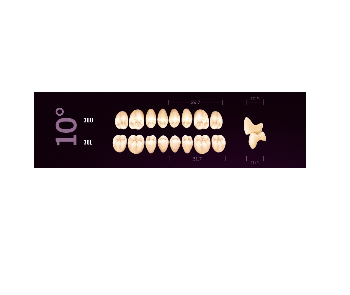 Mondial-8-30U-30L-10degre-Cuspident