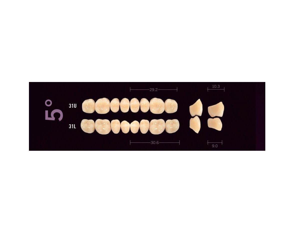 Mondial-8i-31u-31L-5degre-Cuspident