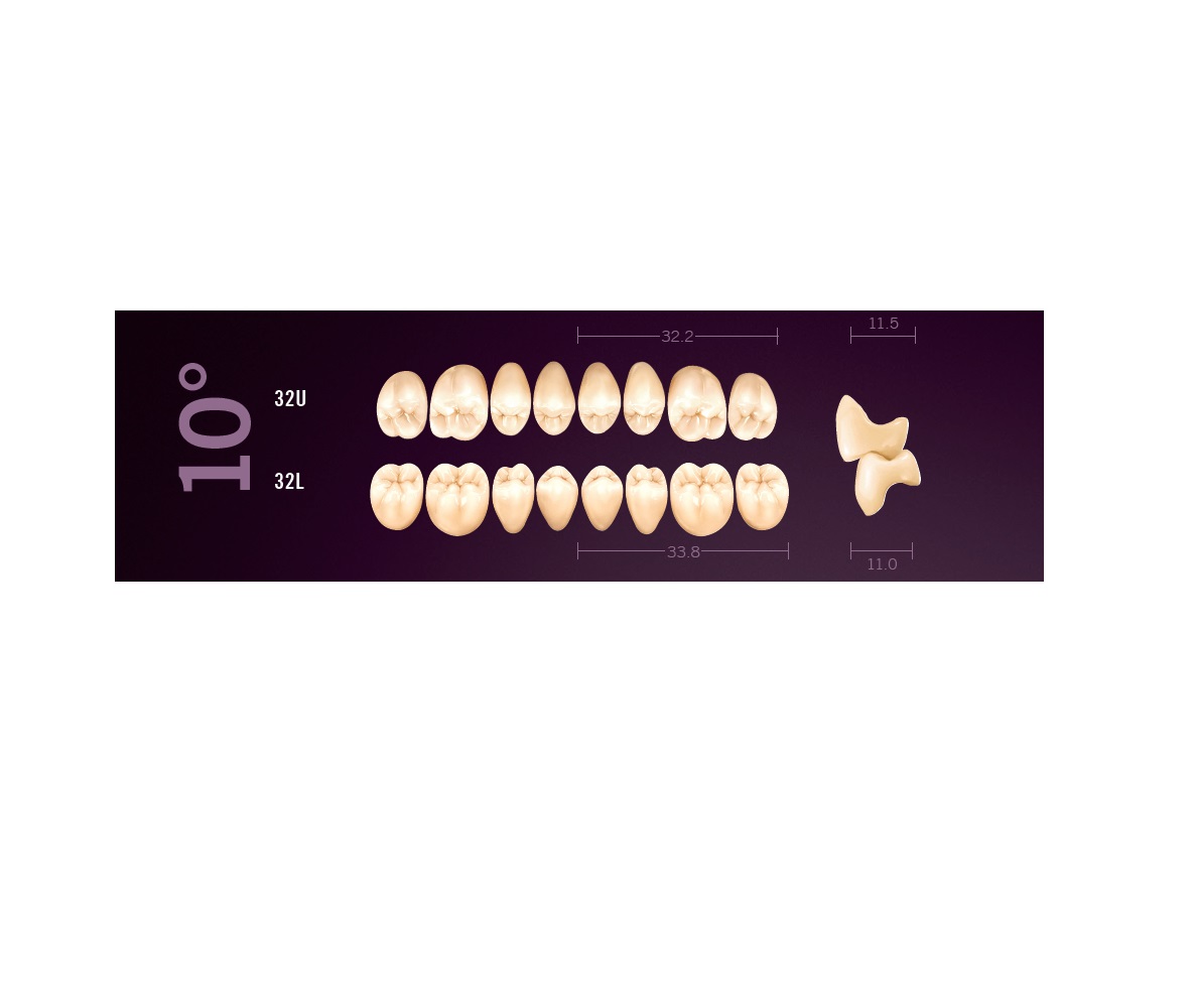 Mondial-8-32U-32L-10-degre-Cuspident