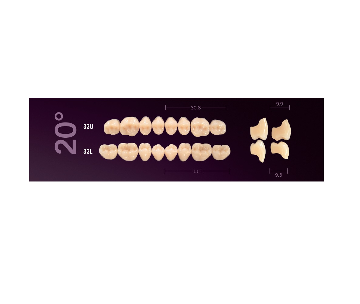 Mondial-8-33U-33L-20-degre-Cuspident